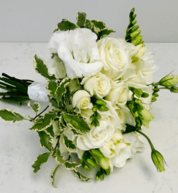 Green and White Tussie