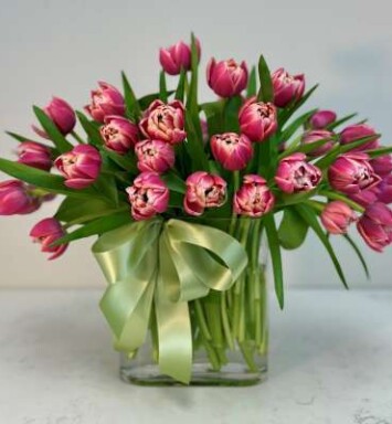 Dorothy's Tulip Deal